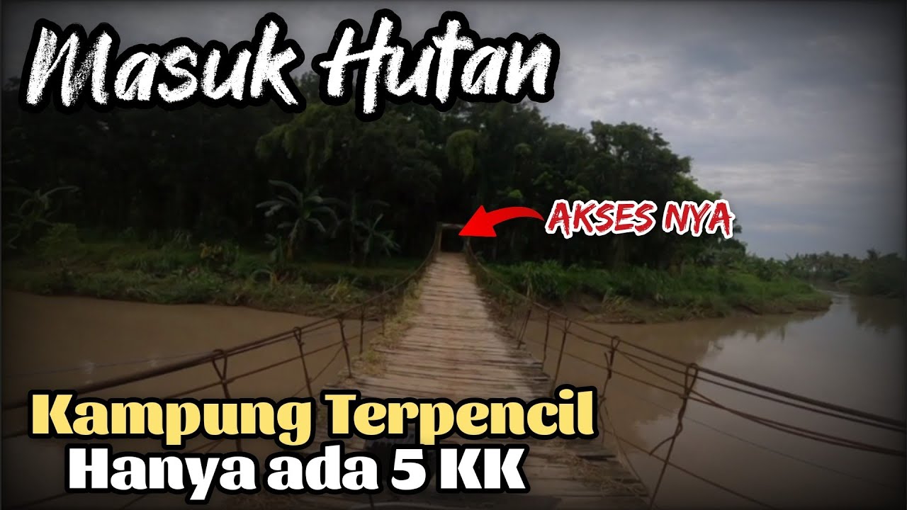 Inilah Kampung Terisolasi di dalam Hutan, Tapi Menyimpan keindahan Luar biasa ROWO BIRU Banyuwangi