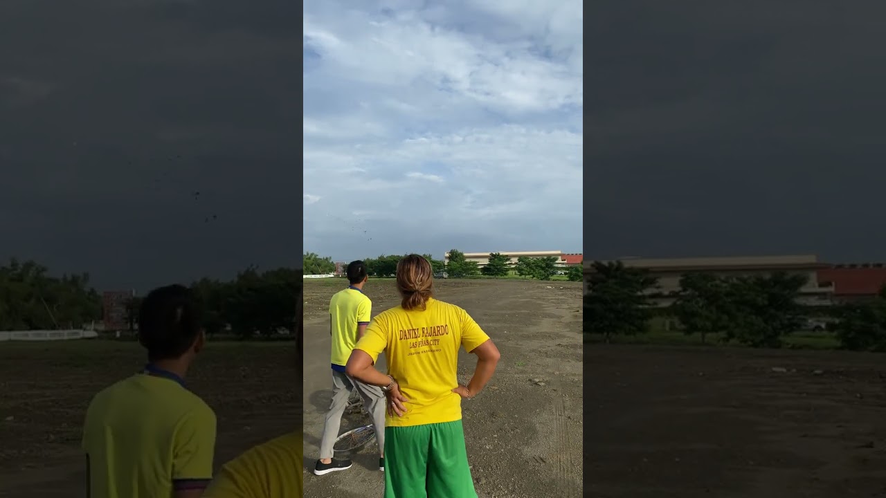 Sun conure freeflight