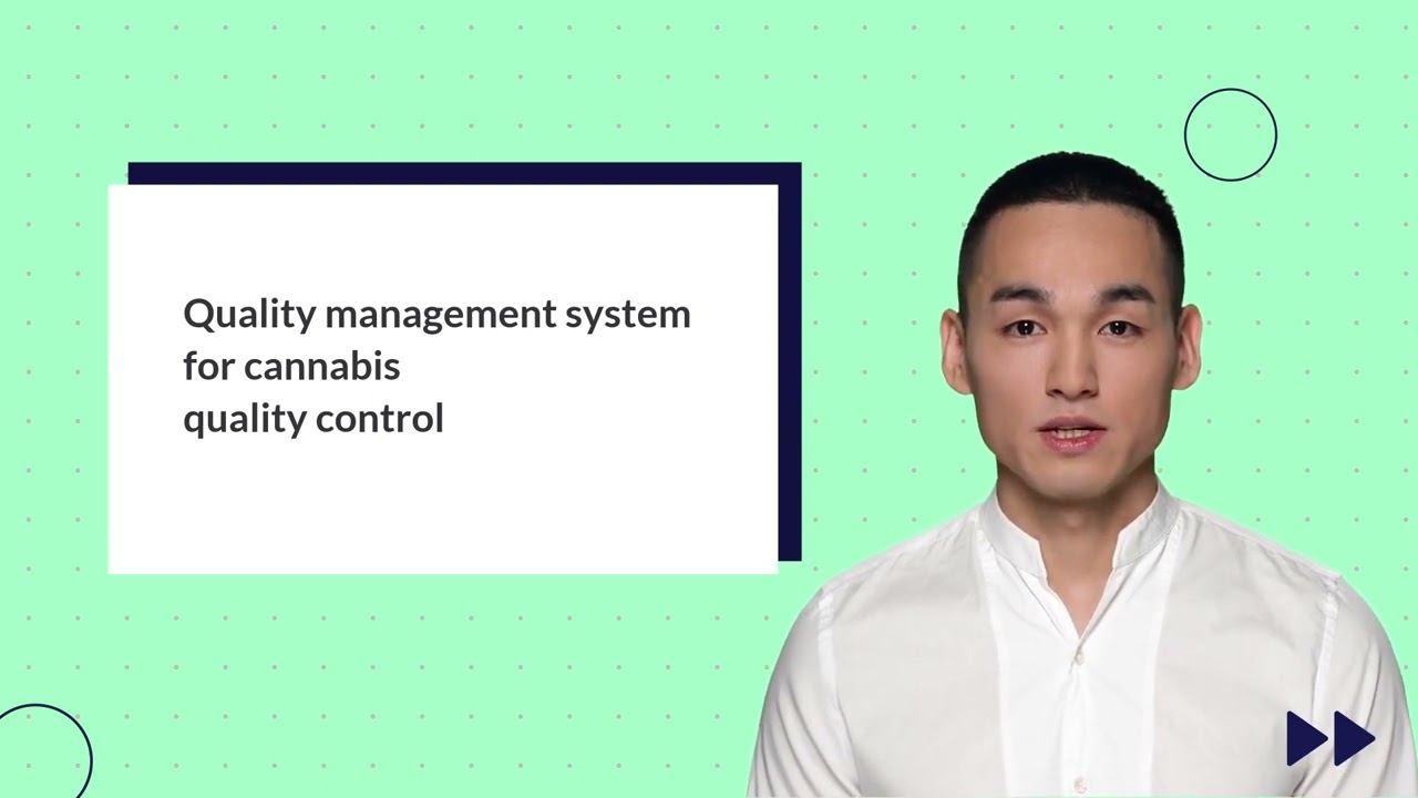 Cannabis quality control   a complete guide