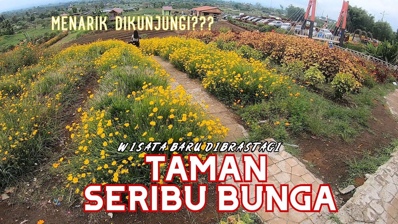 Lokasi TAMAN SERIBU BUNGA di Berastagi | DESA RAYA