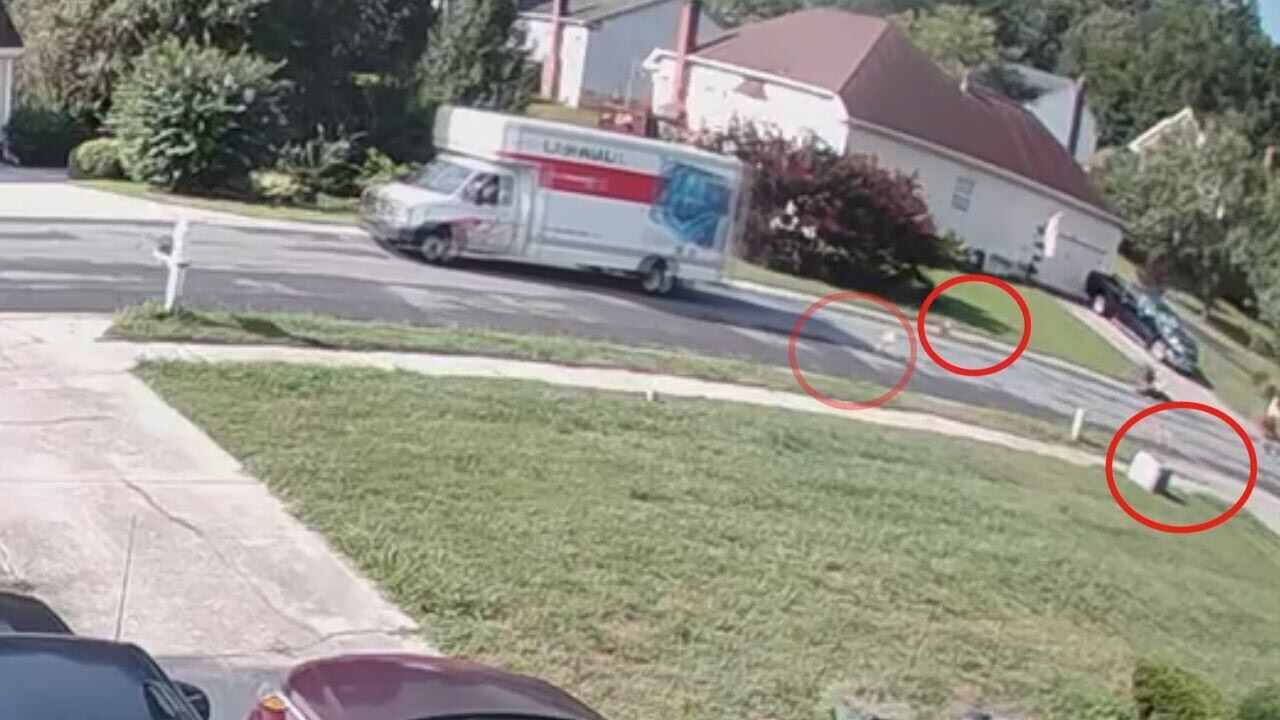 Новое видео: собаки сбежали из грузовика U-Haul и напали на 4 человек | WSOC-TV