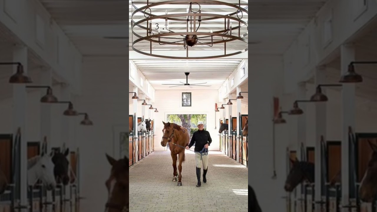 Build your dream stable pt.1 #horses #horseriding #pony #equestrian