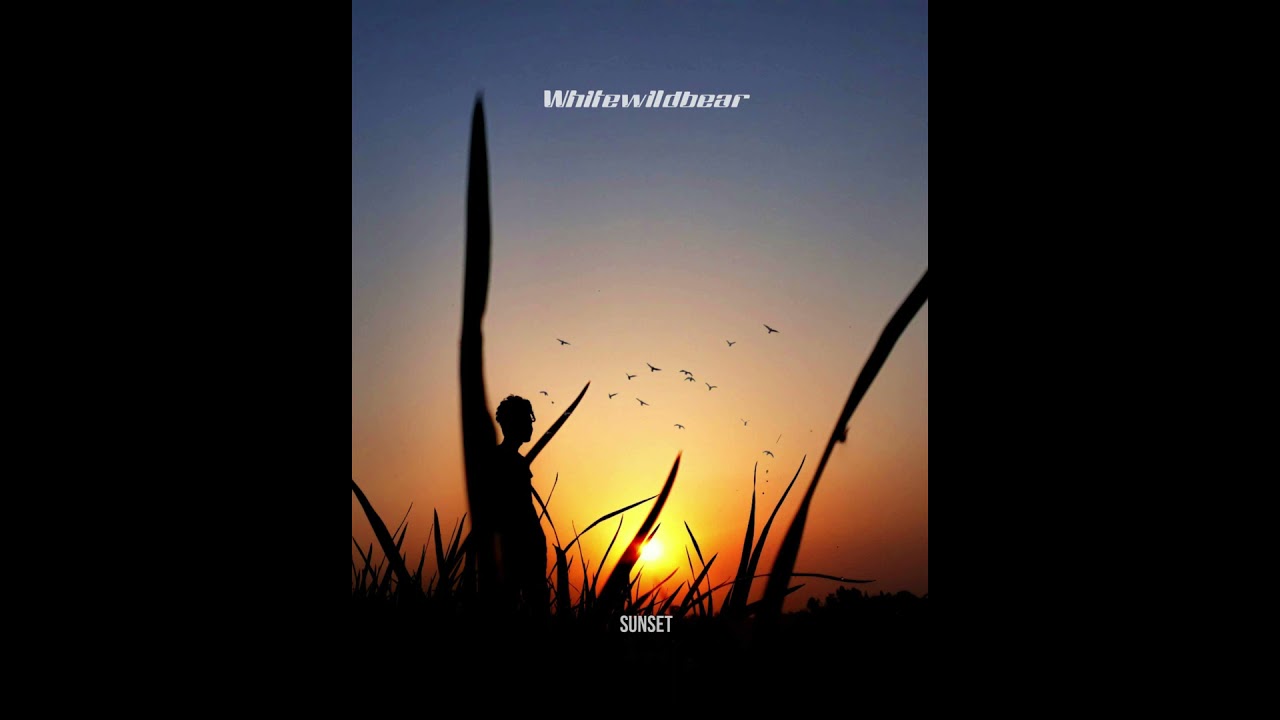 Whitewildbear - Sunset