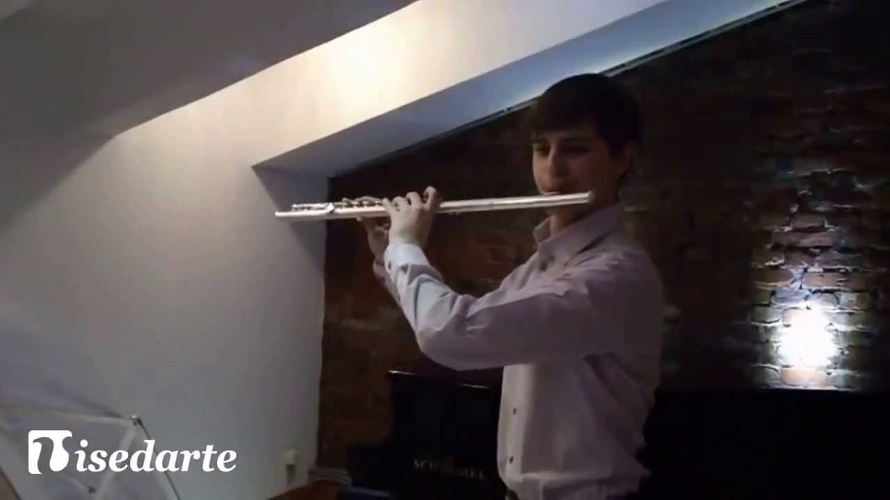Felix Renggli. Master Class. Mozart. Flute Concerto in D major, K.314 (trailer).