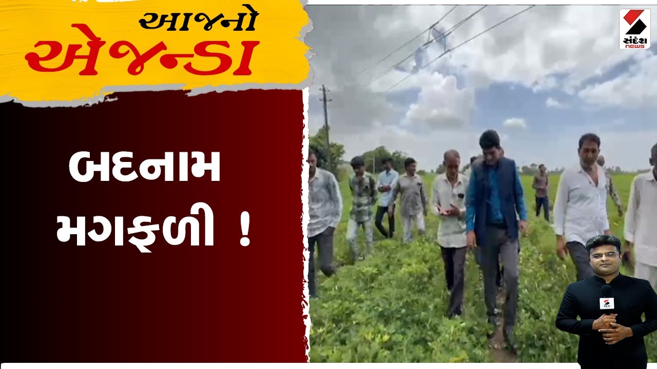 આજનો એજન્ડા ।  બદનામ મગફળી ! ।  Gujarat ।  Sandesh News