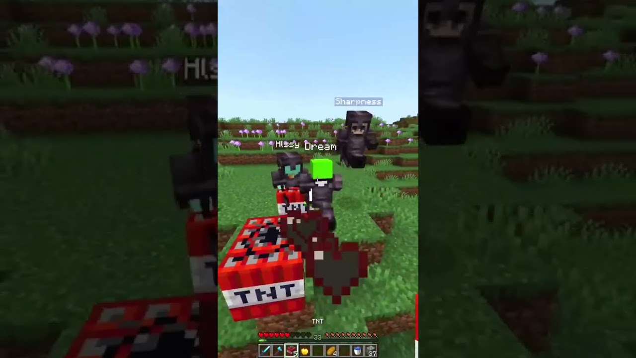 daquavish💀.  ##minecraft #minecraftmovietrailer #minecraftmovie #minecraft100day #minecrafthouse