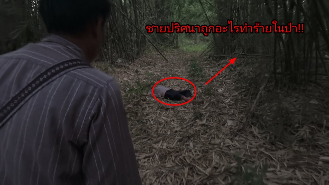 พรานสายเข้าป่าไปหาว่านเยาว์วัย แต่ไปเจอชัยใหย่นอนหายใจโรยริน