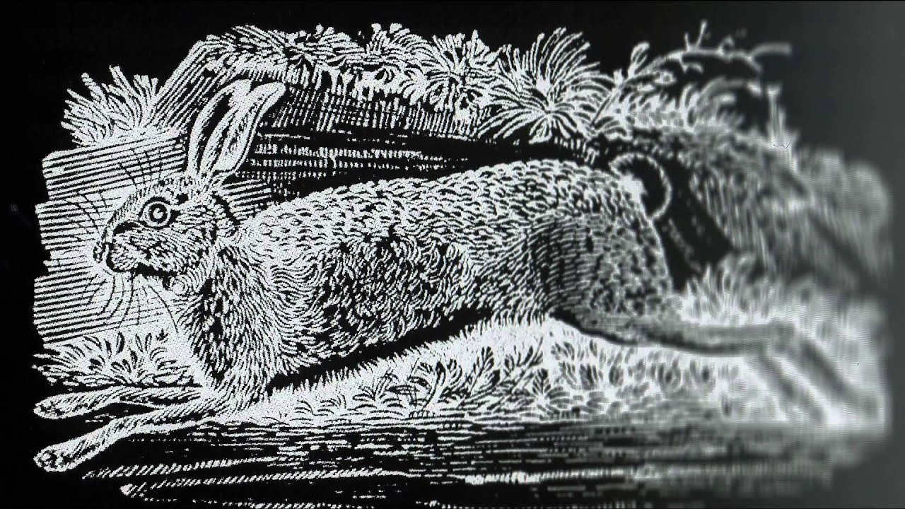 The Names of the Hare