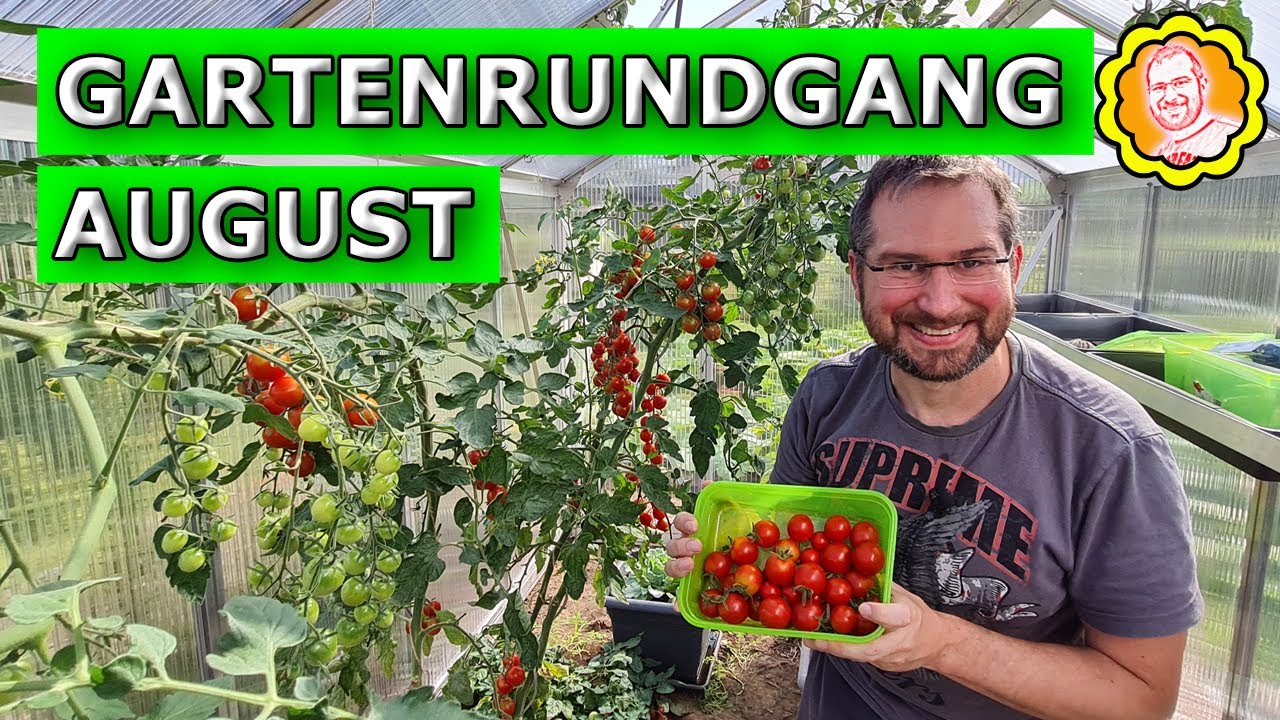 Garten im August: Erfolge, Katastrophen und Überraschungen