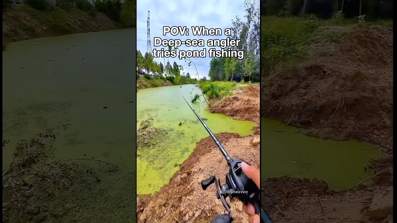 Deep-Sea Angler tries pond fishing for the first time 😂 #bassfishing #fishing #shorts #viralshorts