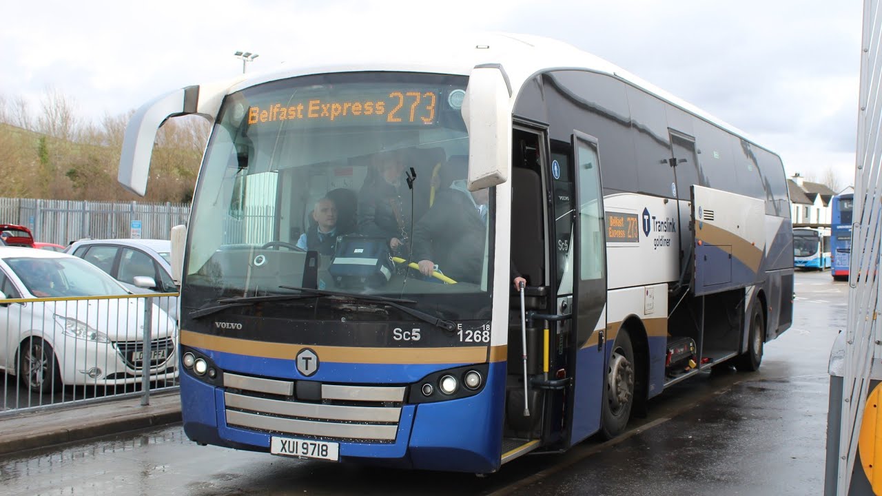 Translink Goldliner 1268