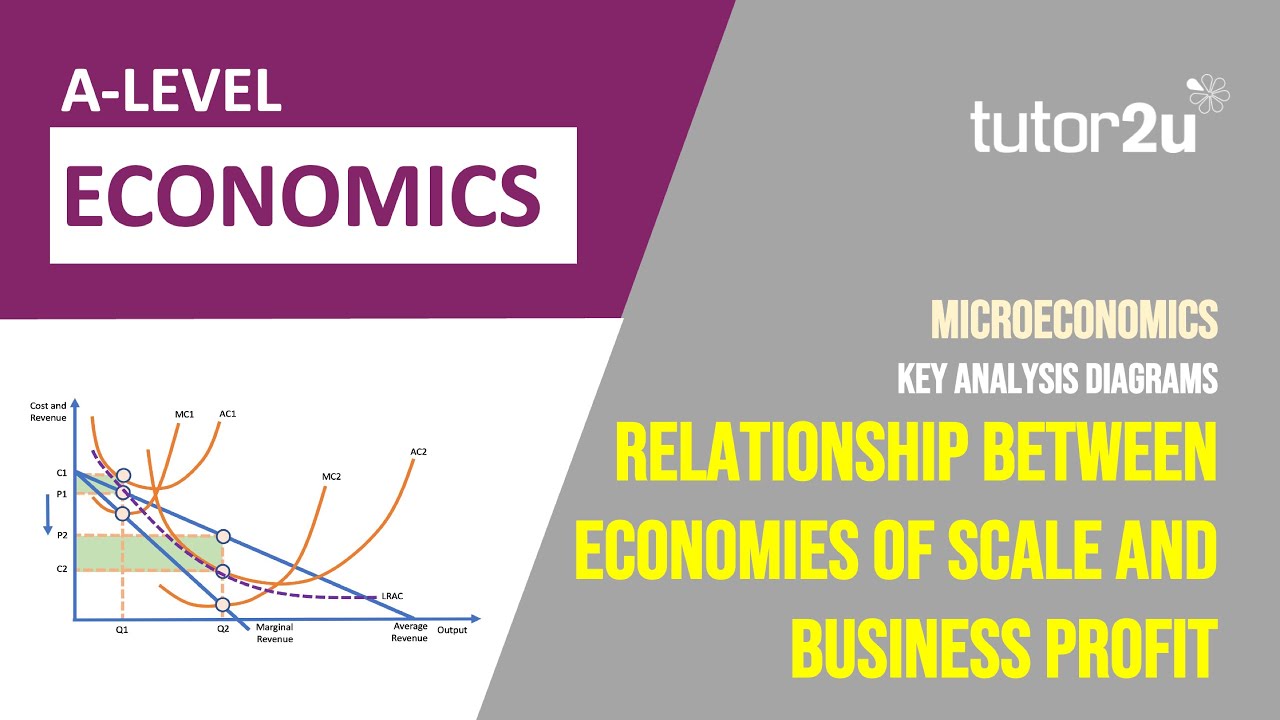 Economies of Scale and Business Profit | Key Diagram