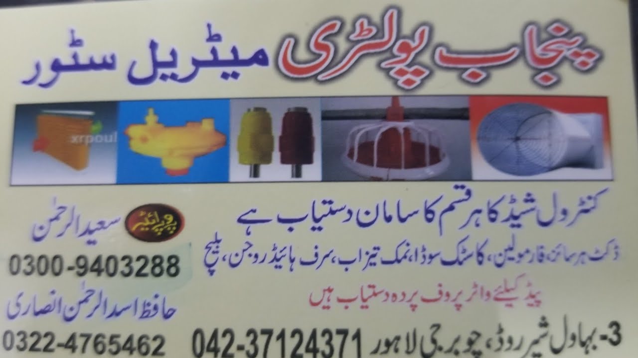Poultry market Lahore