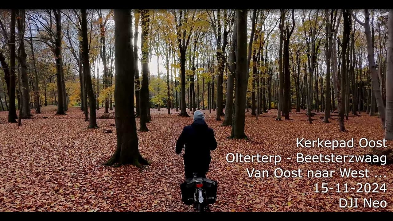 661. Olterterp/Beetsterzwaag - Kerkepad Oost [15-11-2024] DJI Neo