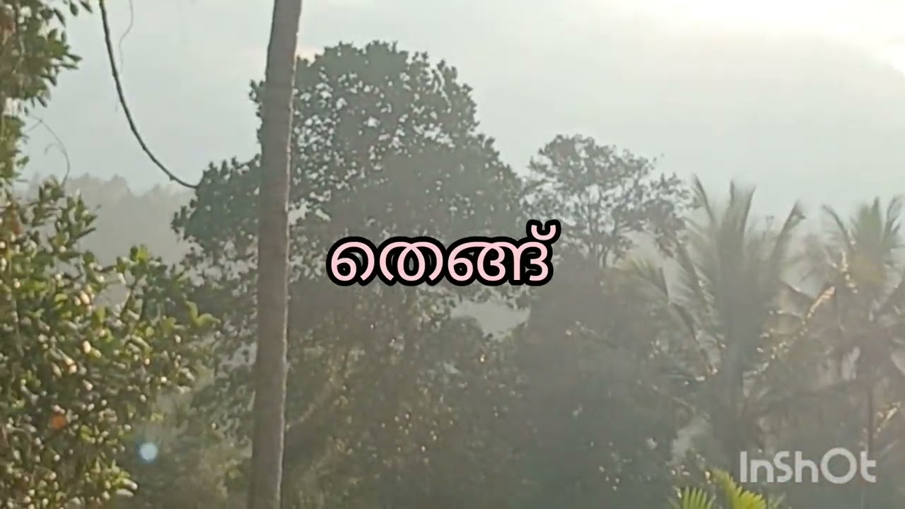 ഏഴര ഏക്കർ റിസോർട്ട് സൈറ്റ് ഭൂമി വിൽപ്പനയ്ക്ക്