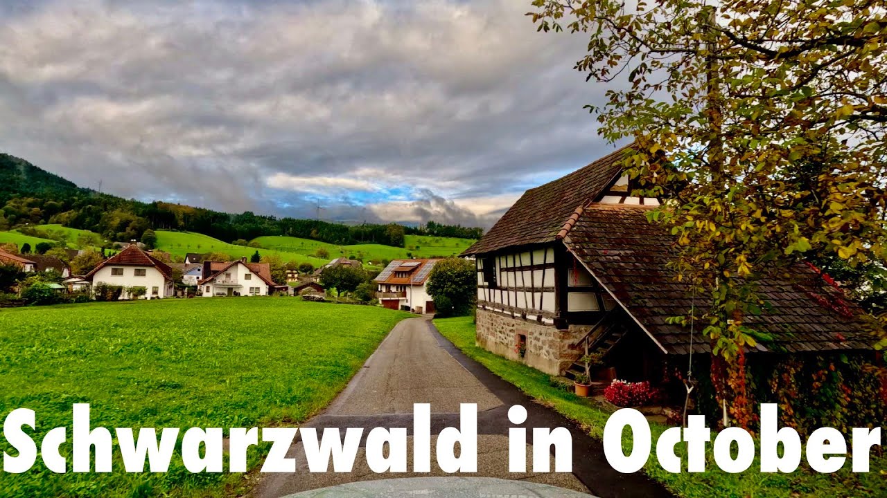 Scenic Drive in Schwarzwald POV 4K (Germany)