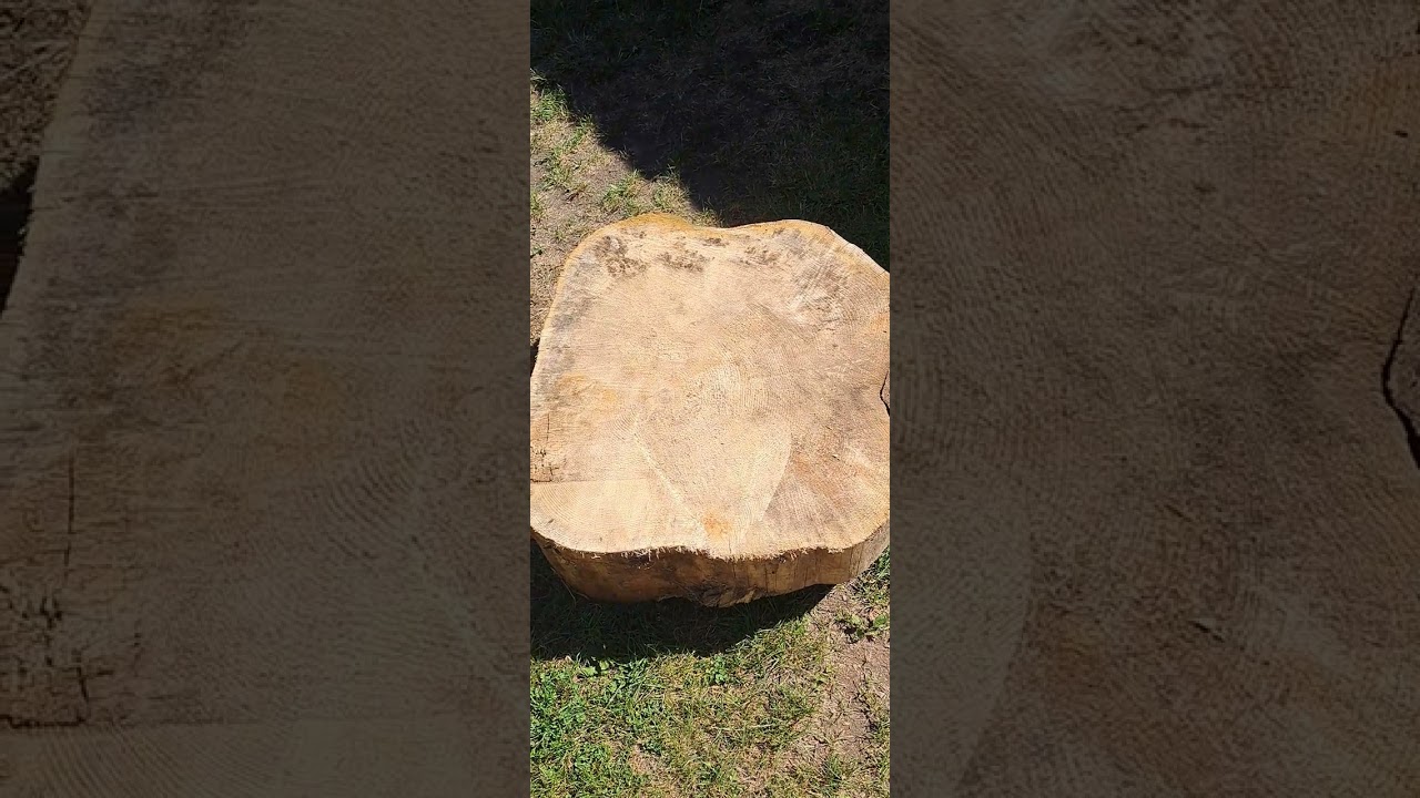a square log