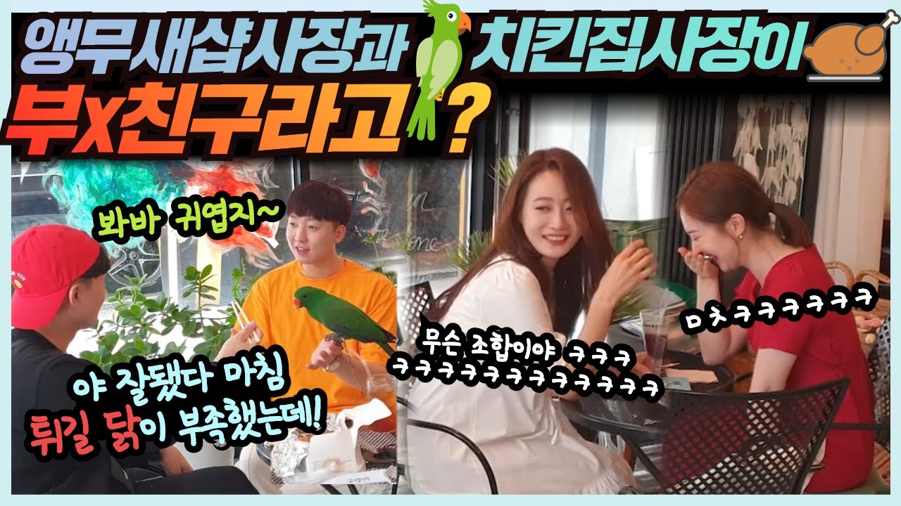 [몰카]Eng CN sub) 치킨집 사장님과 앵무새샵 사장님이 부랄친구라고?! ㅋㅋ 미친조합에 초미녀 두분 쓰러지심 ㅋㅋㅋ 여성분들 미모 역대급 ㅎㄷㄷ
