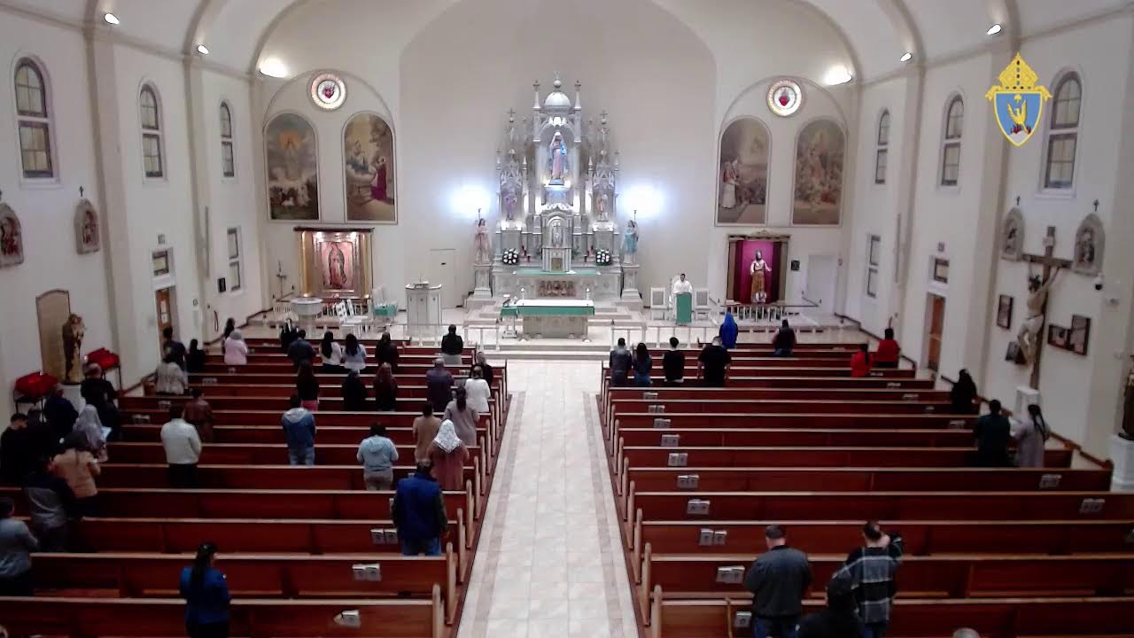 Misa del día