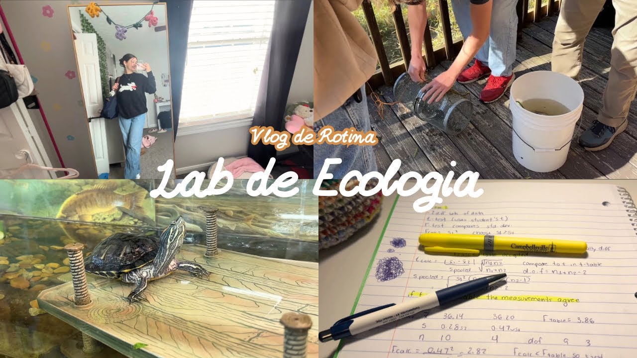 Vlog II Minha Rotina II Estudos e Trabalho