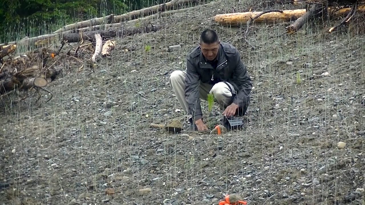 Bralorne Takla Mercury Mine: Remediation and Reclamation