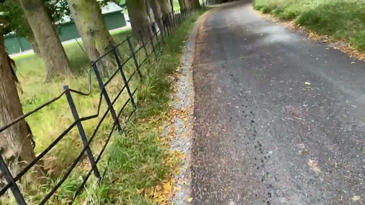 The run