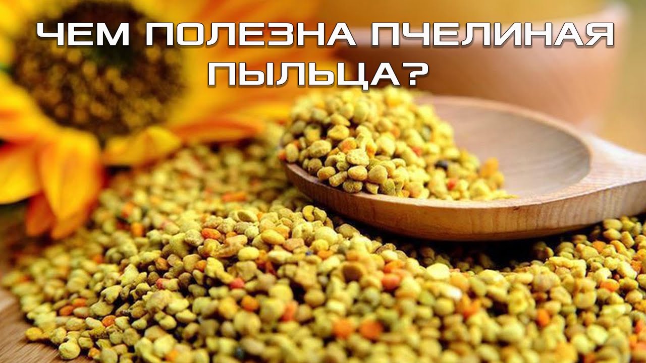 ЧЕМ ПОЛЕЗНА ПЧЕЛИНАЯ ПЫЛЬЦА? ЗАЧЕМ СПОРТСМЕНАМ И ПОЖИЛЫМ ЛЮДЯМ ПЧЕЛИНАЯ ПЫЛЬЦА? СЕКРЕТЫ ДОЛГОЛЕТИЯ