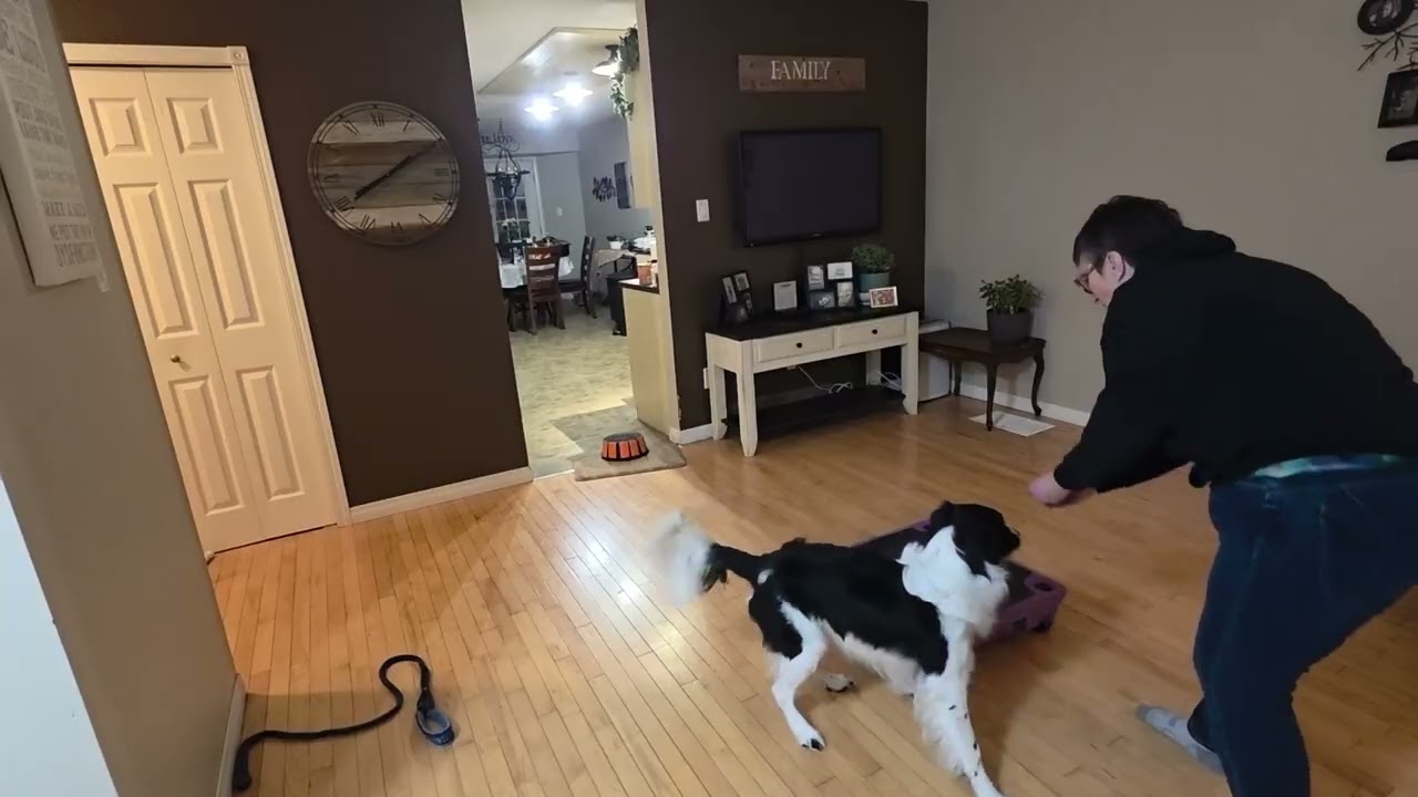 Hemi Contact Behavior