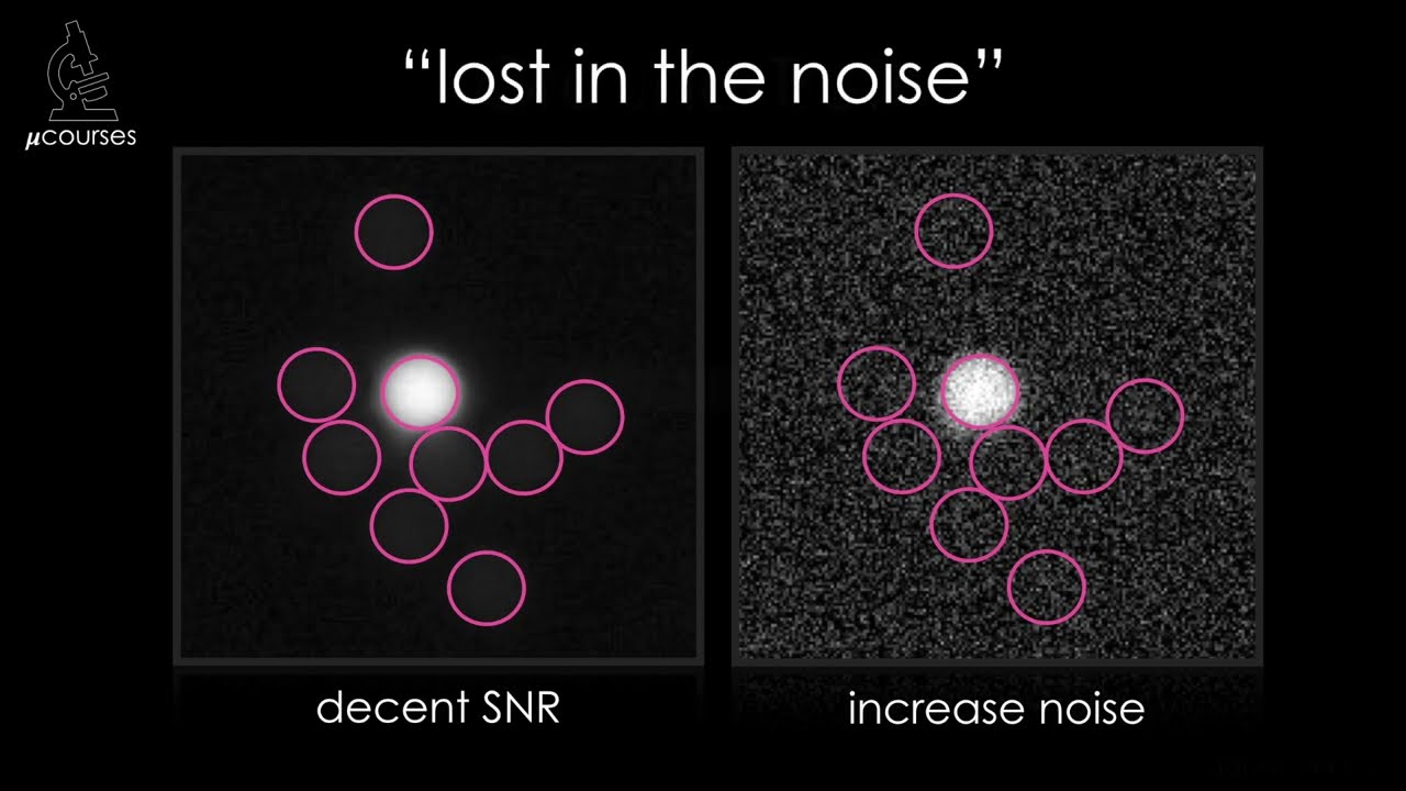 Signal to Noise Ratio