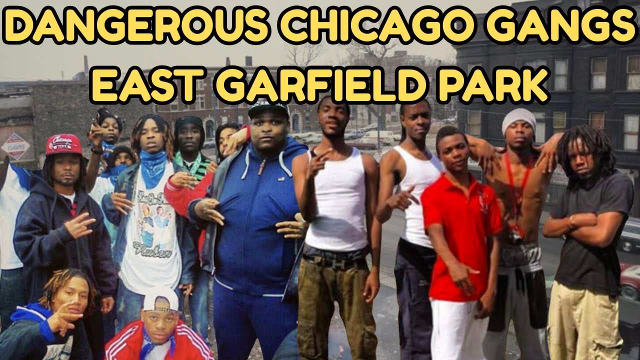 Dangerous Chicago Gangs (East Garfield Park) – Black Souls, Vice Lords, and GDs Run the West Side