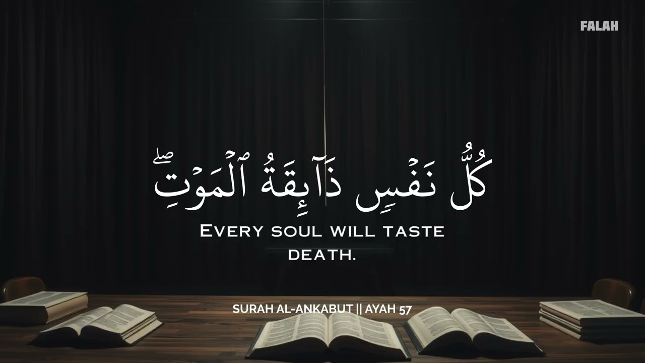 ساعة كاملة🕛🎧 | تلاوة تقشعر لها الأبدان بصوت محمد هشام | Reciter Mohamed Hesham | 🤍🎧