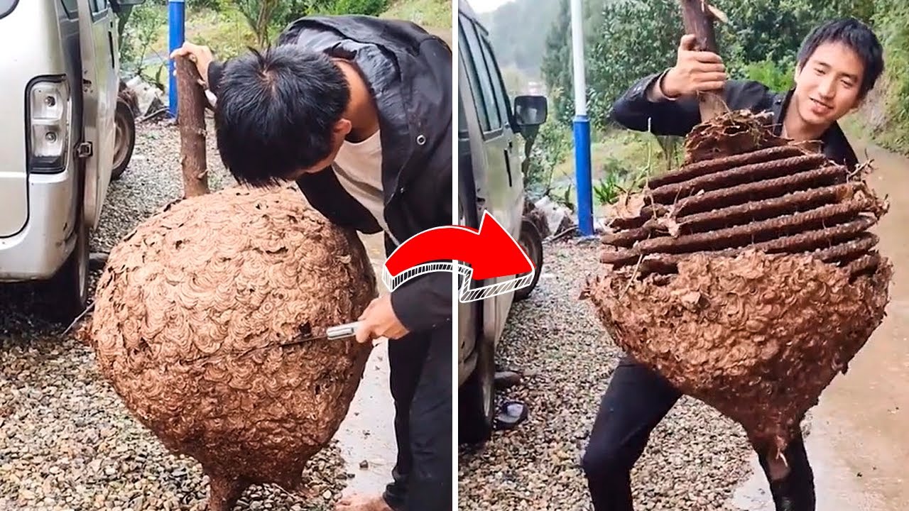 23 Things for Those Who Think They've Seen Everything