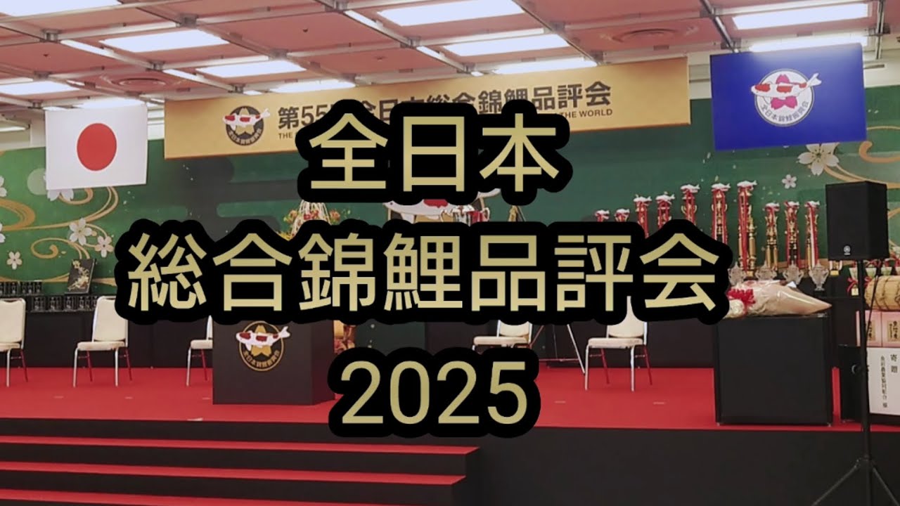 全日本総合錦鯉品評会 2025 大賞受賞鯉