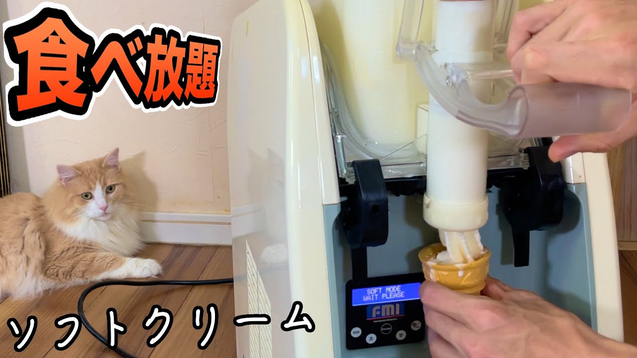 業務用ソフトクリーム機械買ったから食うぞおぉ!!【38万円】　PDS