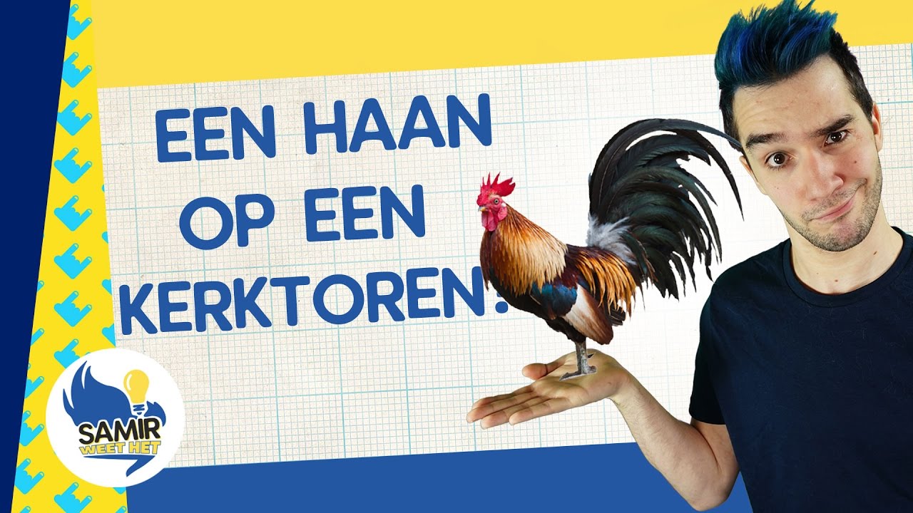 Waarom staat er een haan op een kerktoren? - Samir weet het