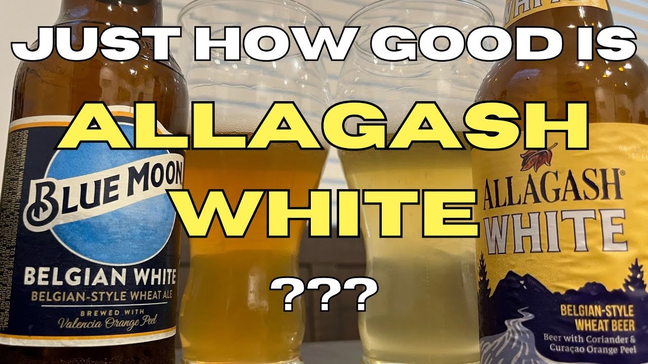 Allagash White vs Blue Moon! British Guy Reviews this classic New England Wheat Beer