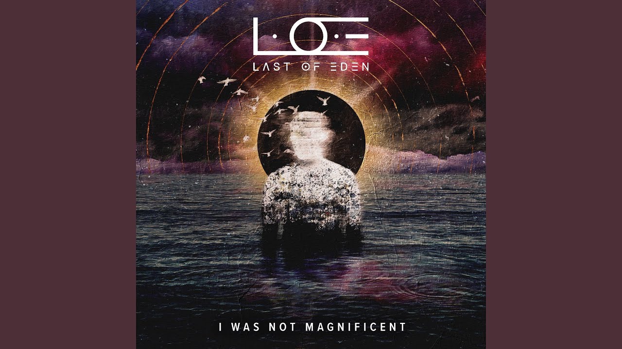 I Was Not Magnificent