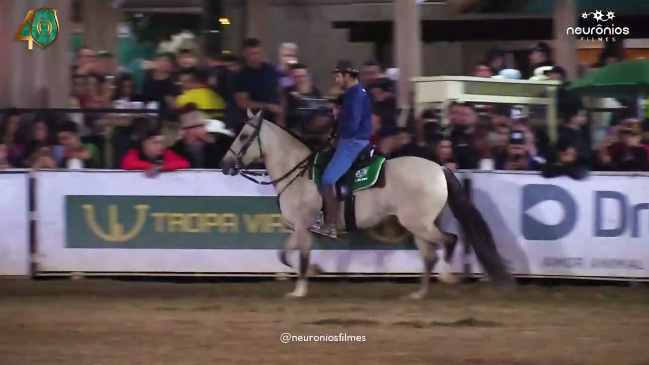 Perfeição da Terra Brava - Campeã Nacional de Marcha - 2023