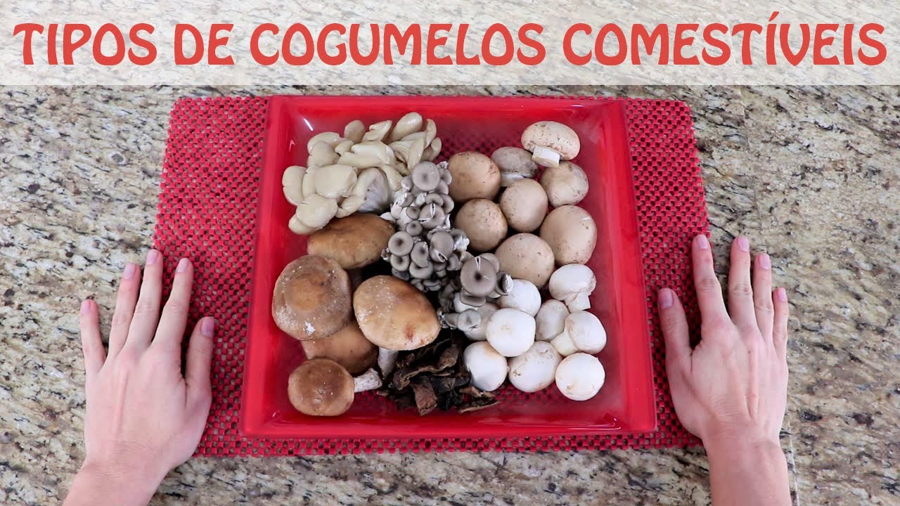 Tipos de Cogumelos Comestíveis