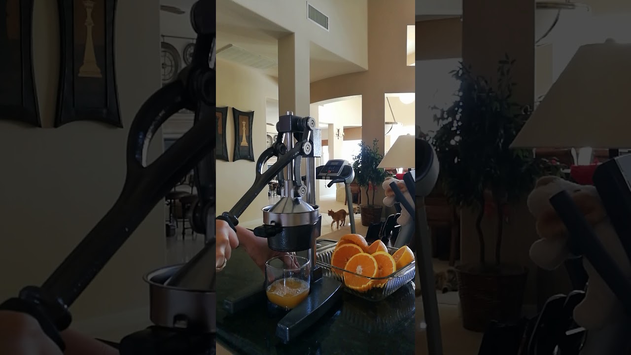 Commercial Grade Citrus Juicer Hand Press