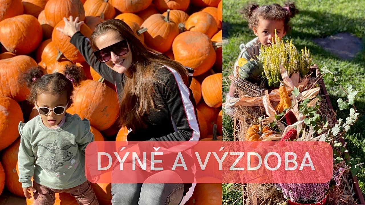 LYSA, LETADLA, DYNE A PODZIMNI VYZDOBA / ČECHY #31