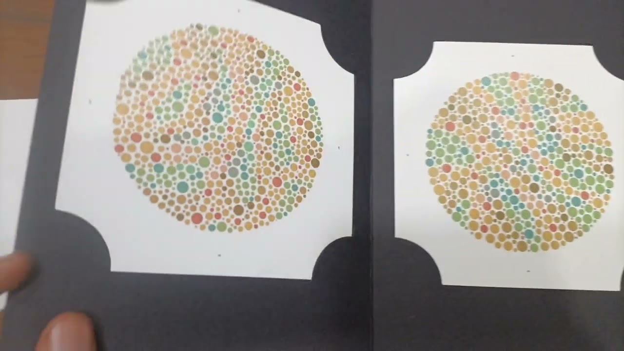 2023 Ishihara's Test For Colour Deficiency 38 Plates Edition Original Book  Edition Make Japan