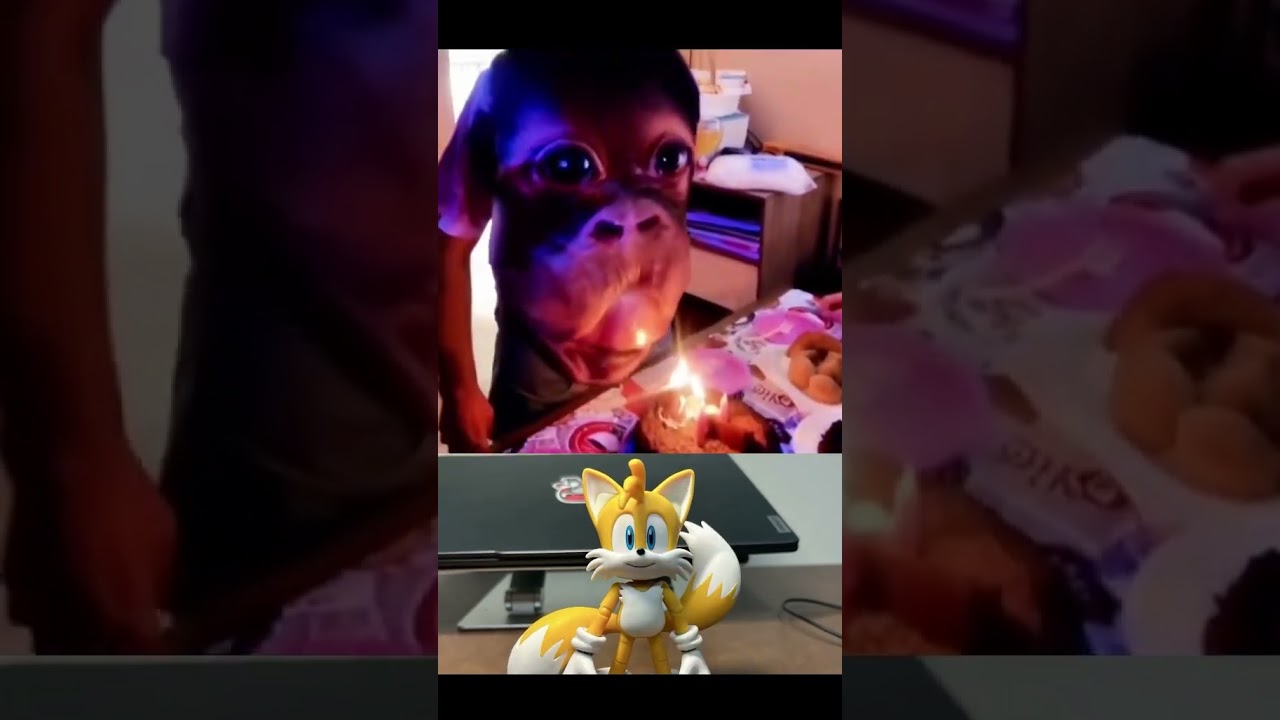 tails reacts to monke