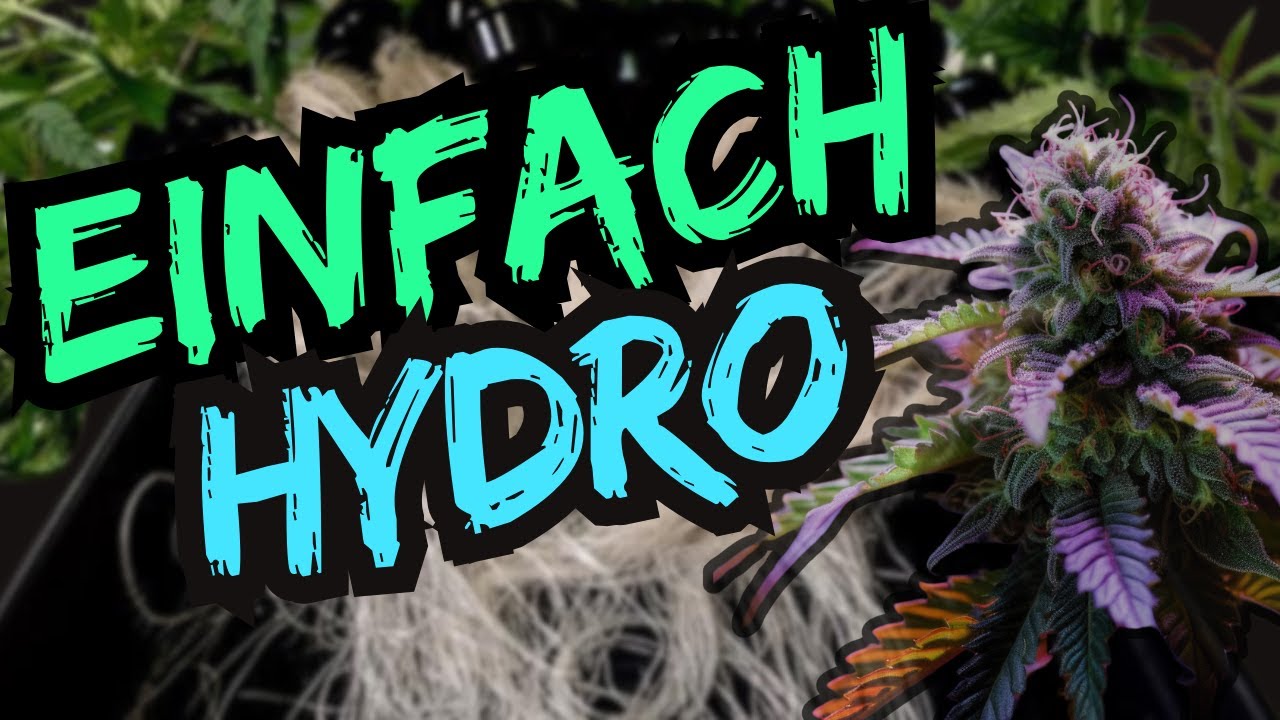 How to grow Hydro NFT - Was du ben&ouml;tigst & wissen solltest