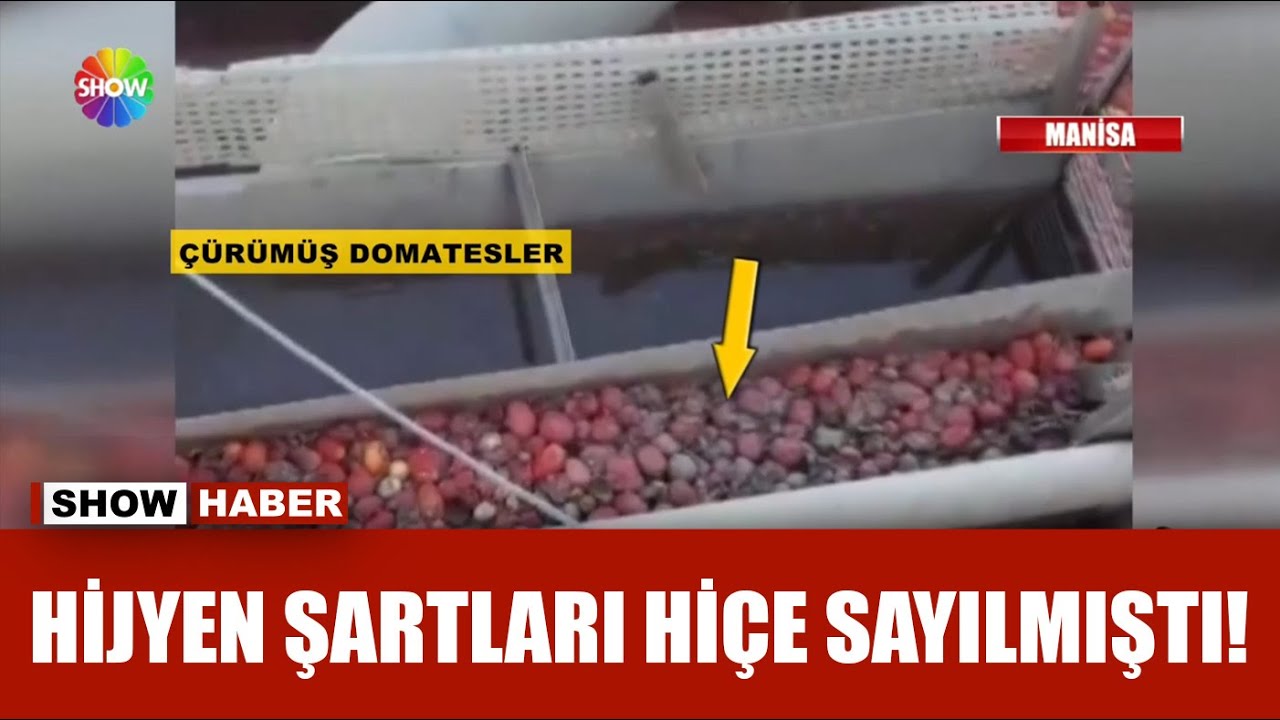 Salça fabrikasında skandal görüntüler