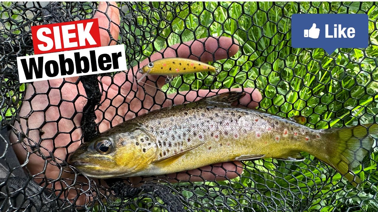 Brown Trout on SIEK Wobbler lures!
