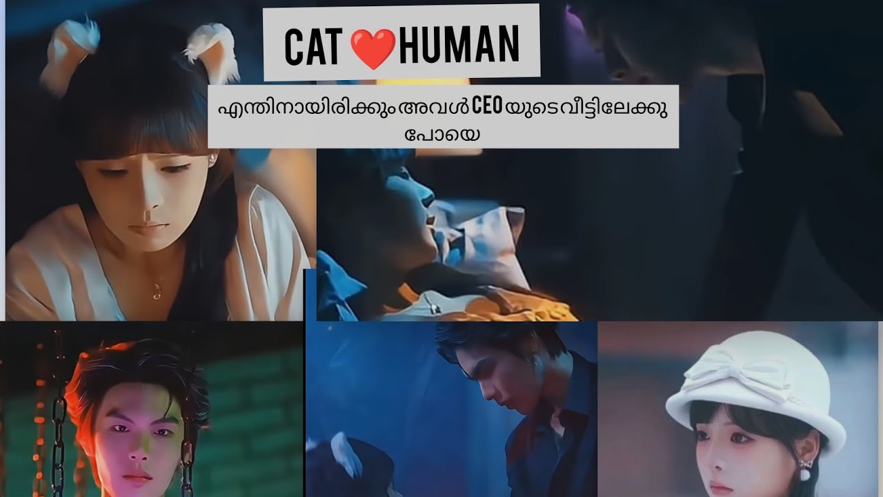 CAT ❤️Human  പൂച്ച മനുഷ്യനെ സ്നേഹിച്ച CEO