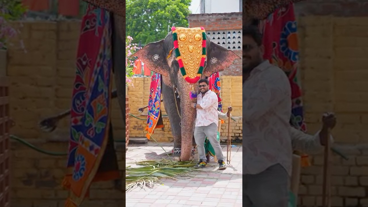 💐 Trichy&rsquo;s grand wedding | #ytviral #trichy