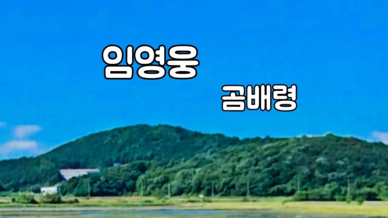 곰배령 #임영웅 #영웅시대 #건행 