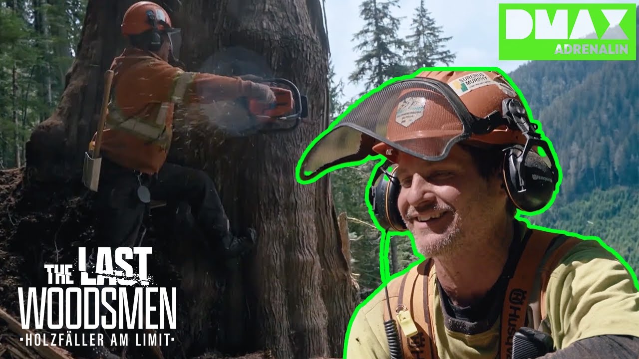 Achtung❗️Baum fällt 🌳🪓 | The Last Woodsmen | COMPILATION | DMAX Adrenalin